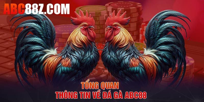 Tổng quan thông tin về đá gà ABC88